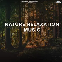 Nature Relaxation Music